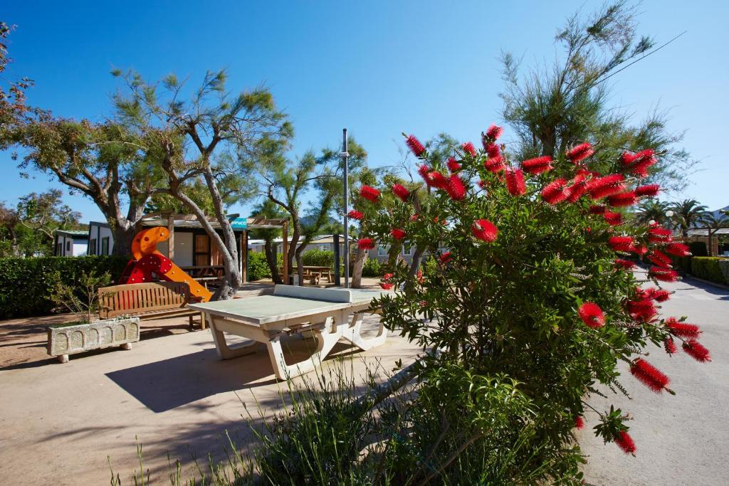 Apartaments Terraza - Salata Mar Roses Exterior photo
